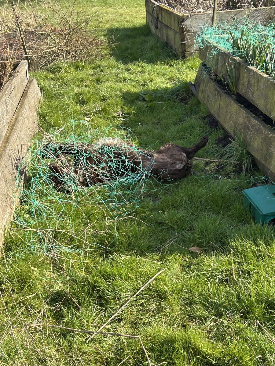 Kate Whittaker tweet media