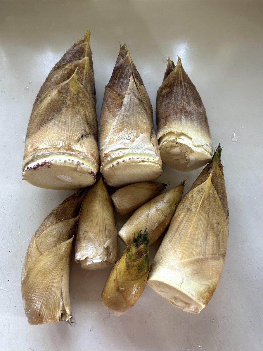 white lilly tweet media