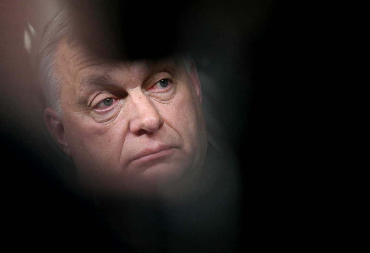 Цензор.НЕТ ✍️ tweet media