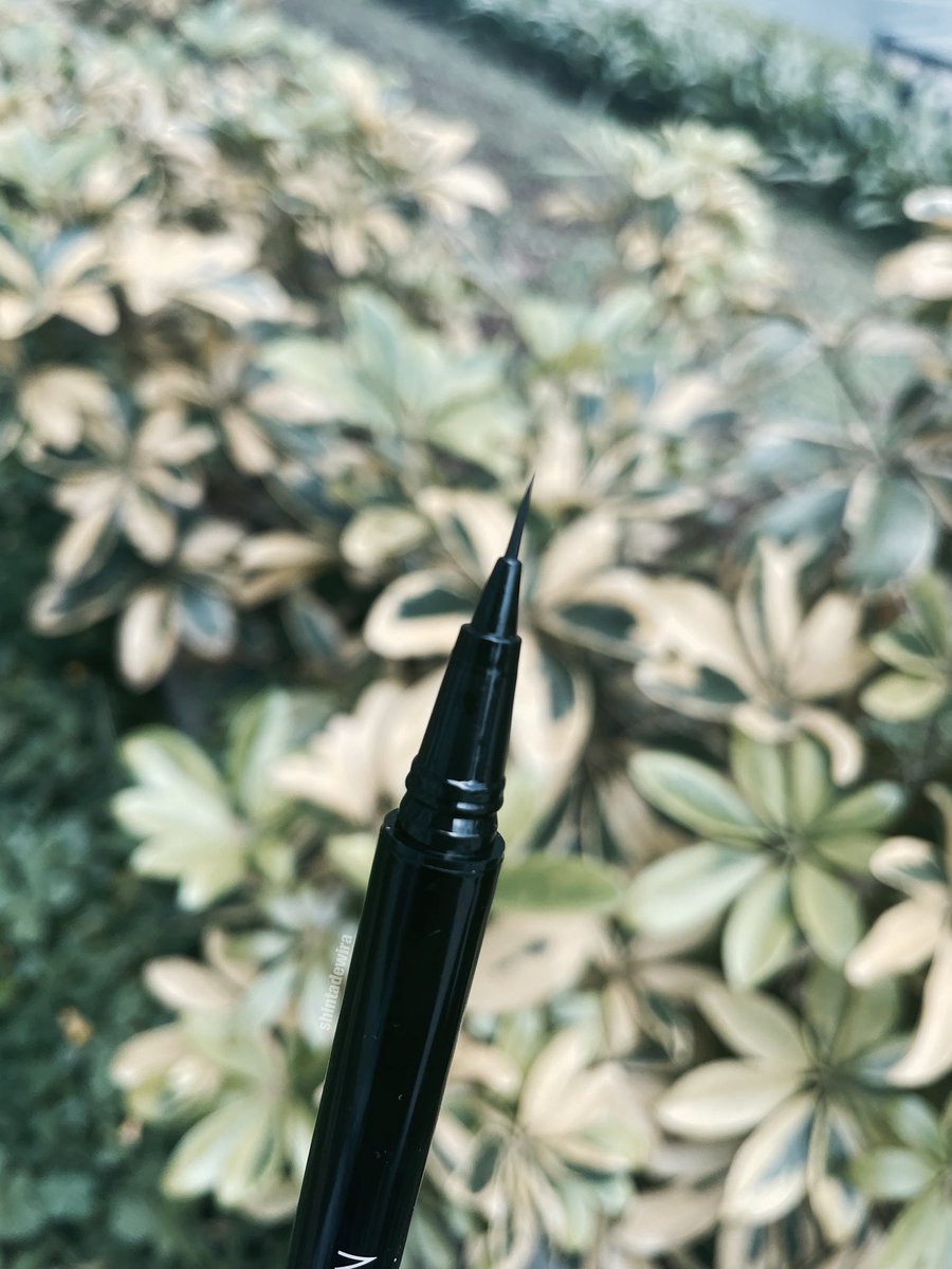 Shinta Dewi RA tweet media