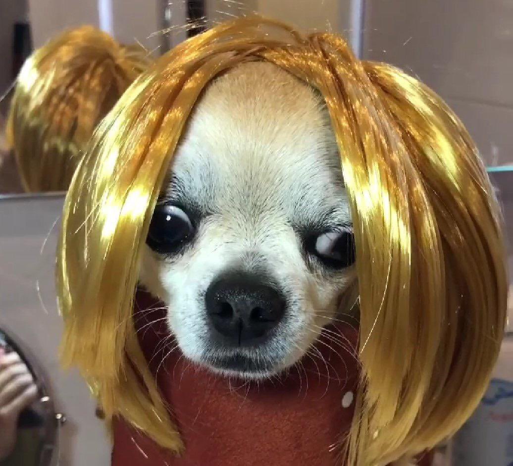 space dude tweet media