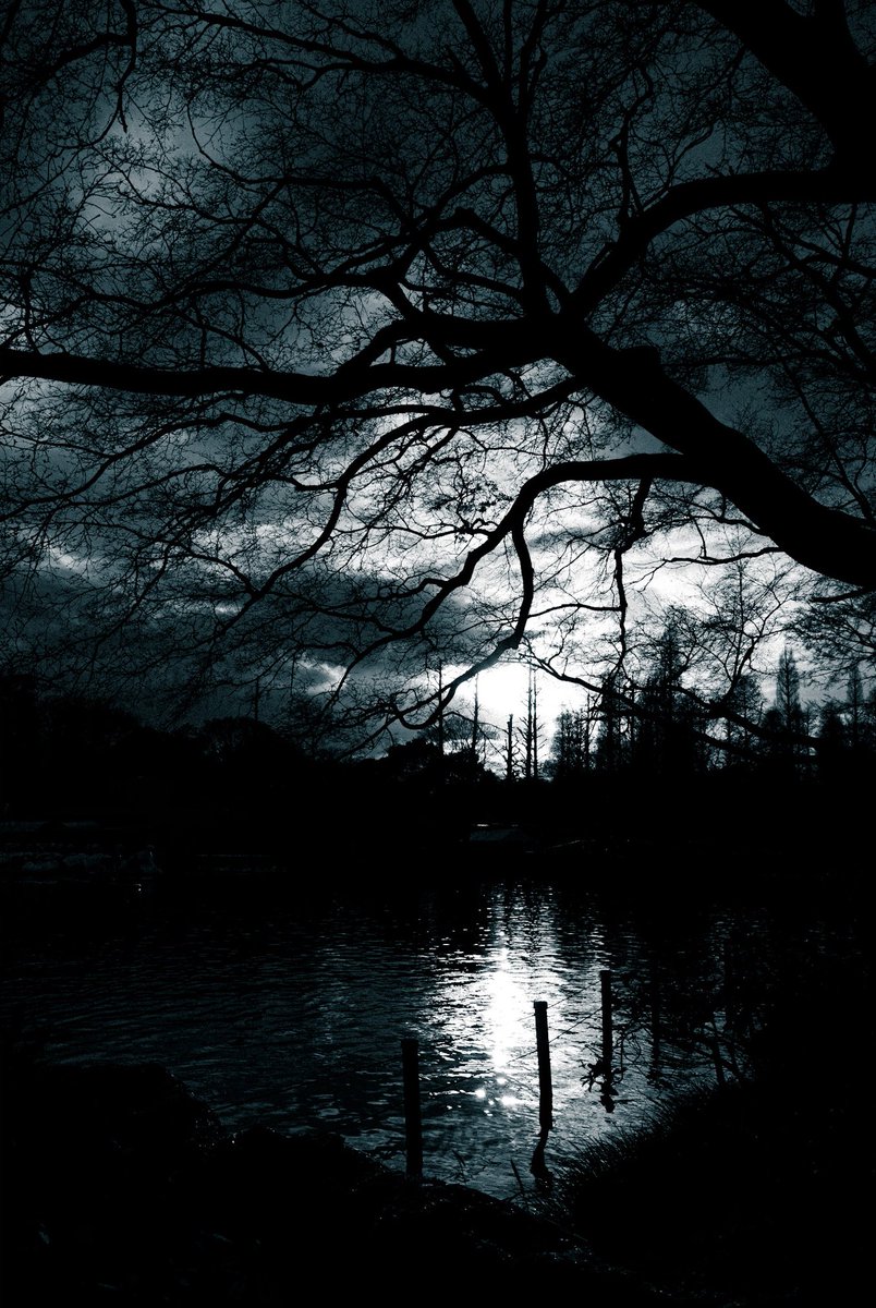 あくび / akubi tweet media