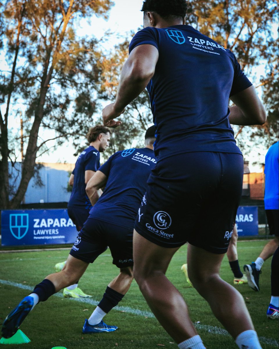 Oakleigh Cannons FC tweet media