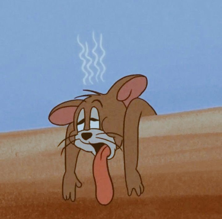 Syed Shaheer Hussain tweet media