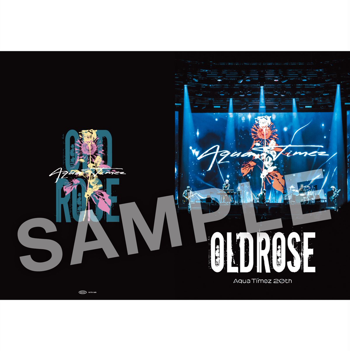 SonyMusicShop's tweet photo. 【#AquaTimez】@AquaTimezStaff

◻︎◾︎・ ──── 
再結成期間ラストライブ映像！
「Aqua Timez 20th Live -OLDROSE-」 
本日発売日🎊
────・ ◾︎◻︎

特別な一夜となったステージをお見逃しなく✨

🎁限定特典🎁
オリジナルA5サイズノート

#AquaTimez20th
詳細はこちら👇