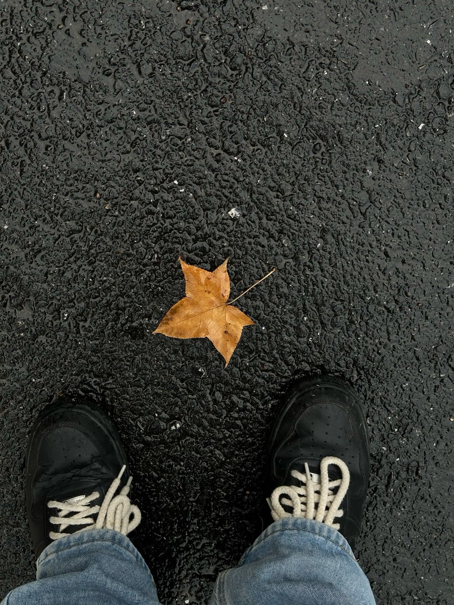 alex wardle tweet media