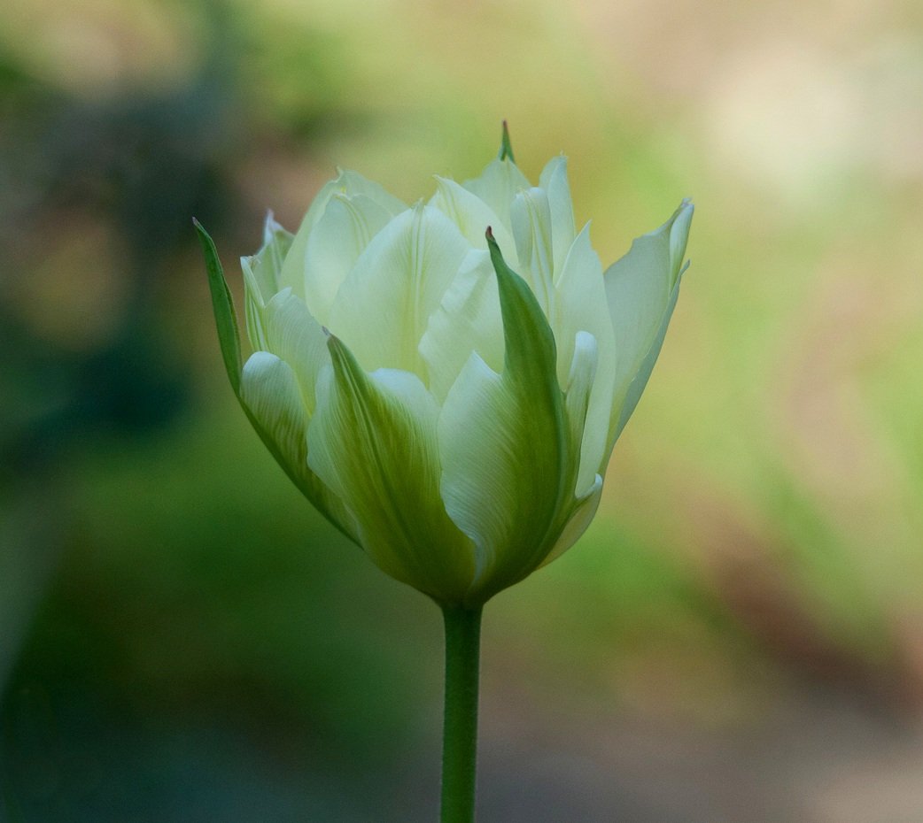 itsnotaboutwork tweet media