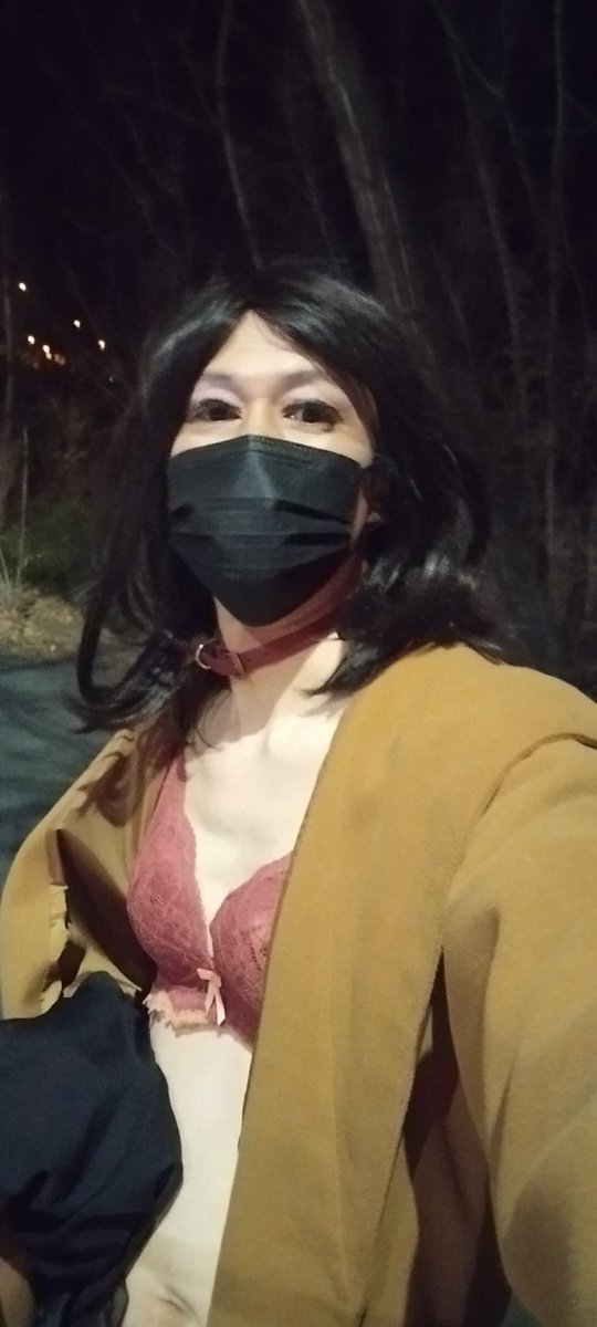 08nikubenki's tweet photo. 暖かくなったので念願のお散歩。うれしくて尻尾振ったら取れちゃいました https://t.co/AfYyxz7aj0