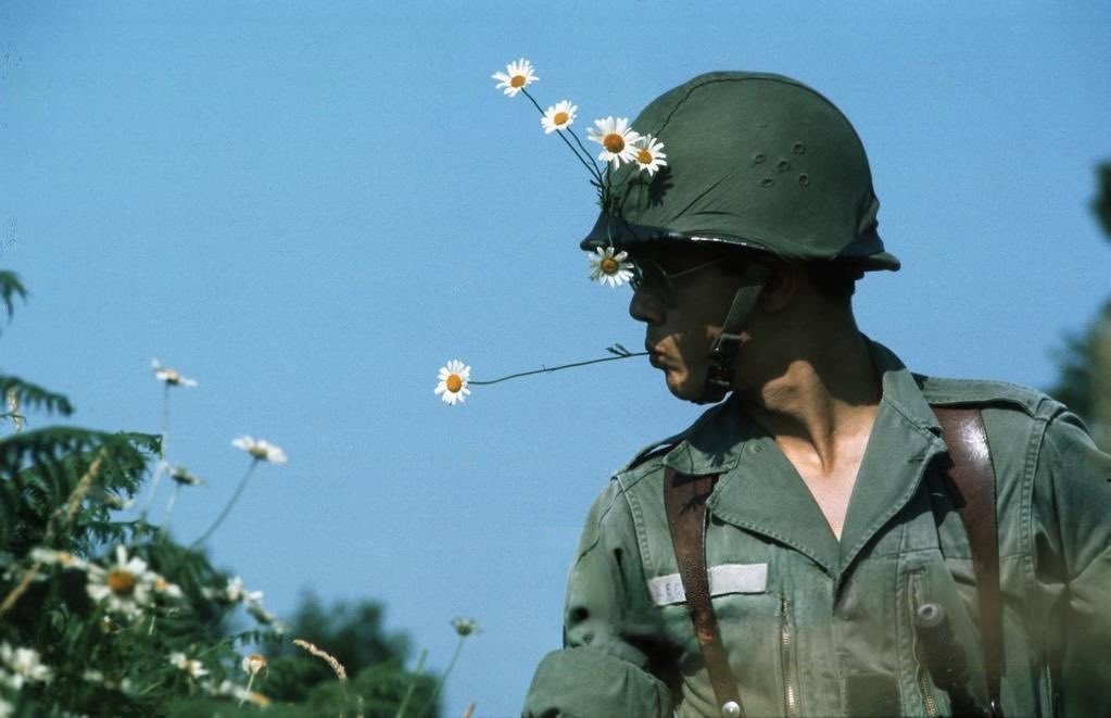 Voltigeur tweet media