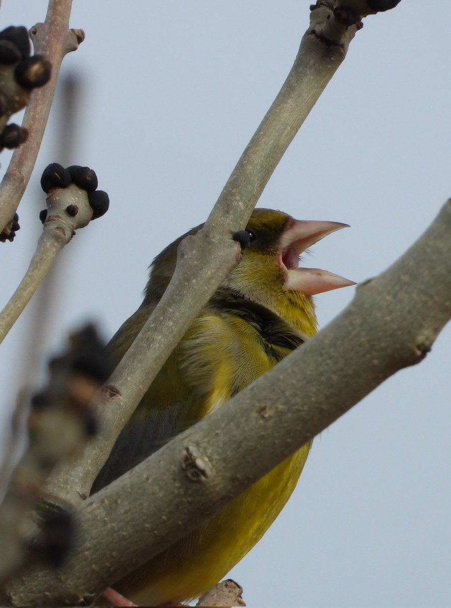 Bwarropics tweet media