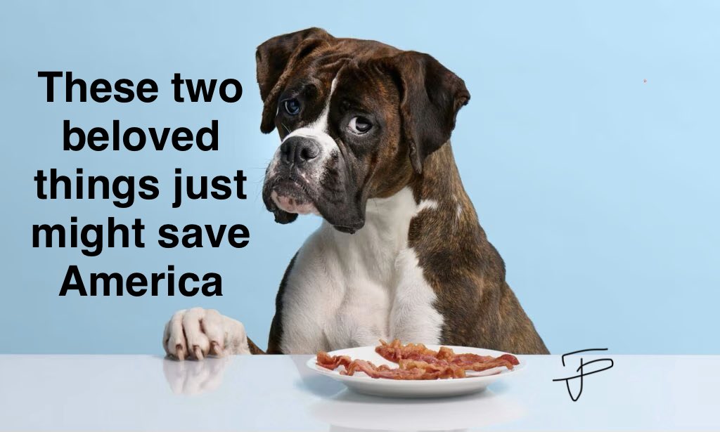 Timm Phillips tweet media