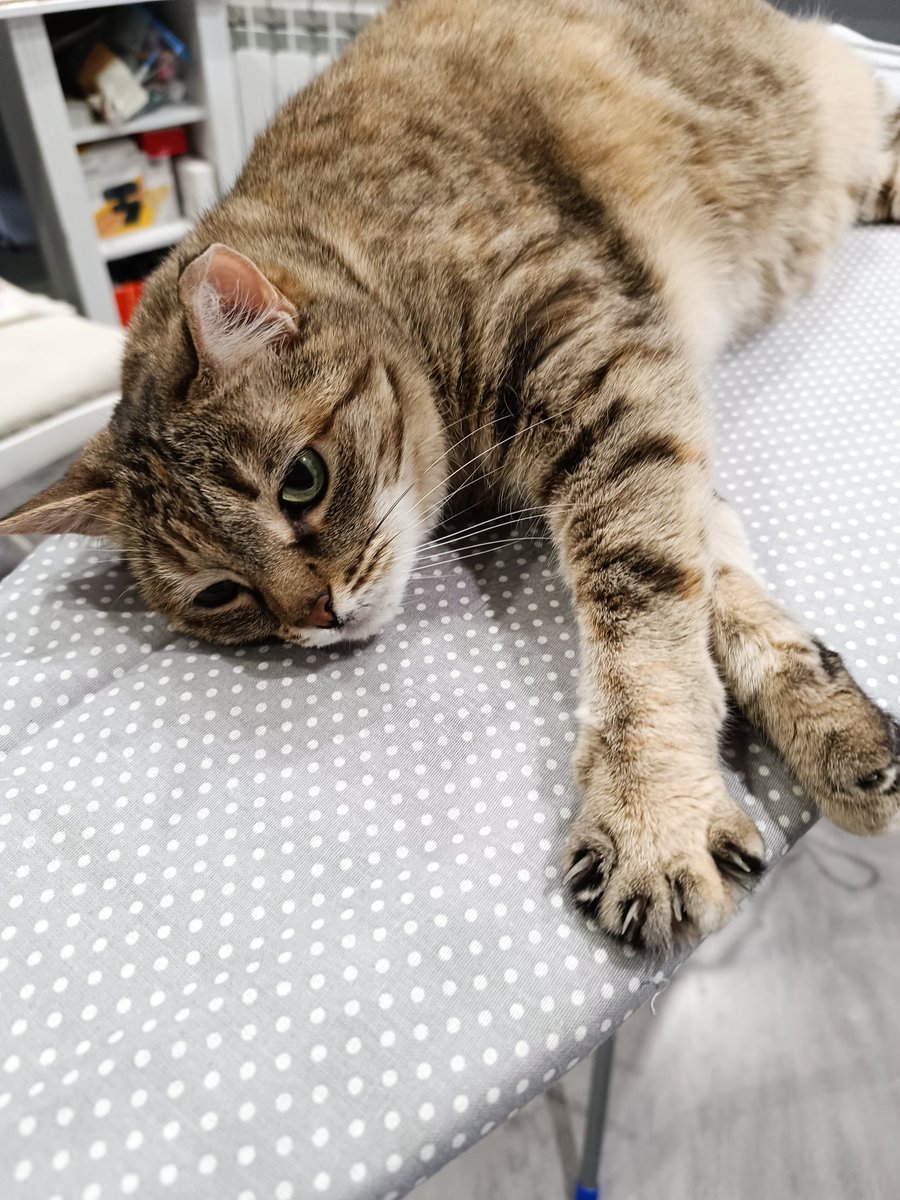 L Æ N A-86 🇷🇺 tweet media