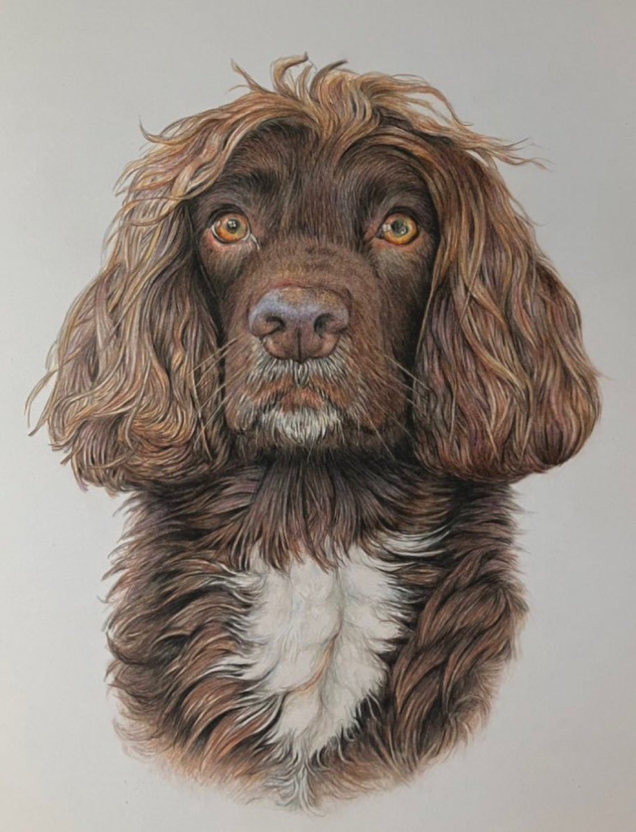 Peter Plant tweet media