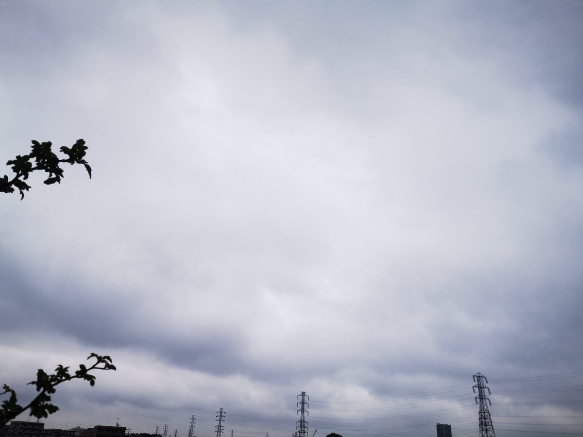 青☆組 tweet media