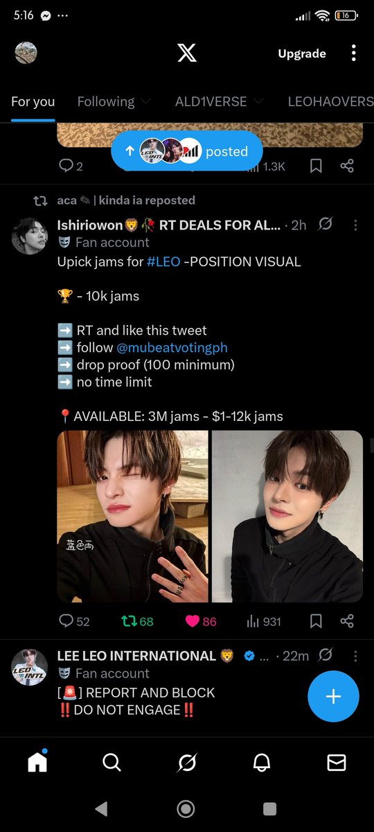 TheLionhasWon tweet media