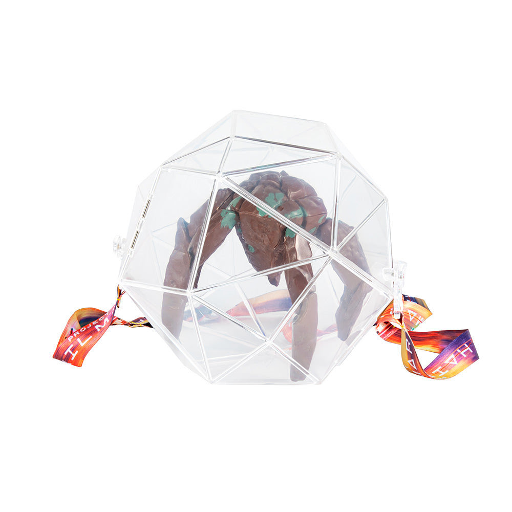 コロラド州 tweet media