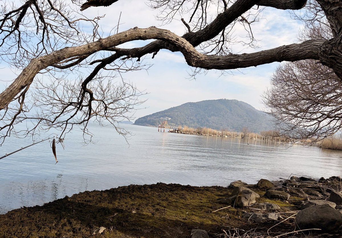 ねぎとろG tweet media