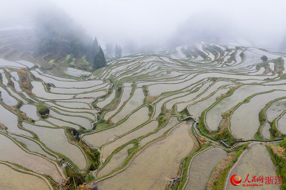 人民日報  People's Daily tweet media