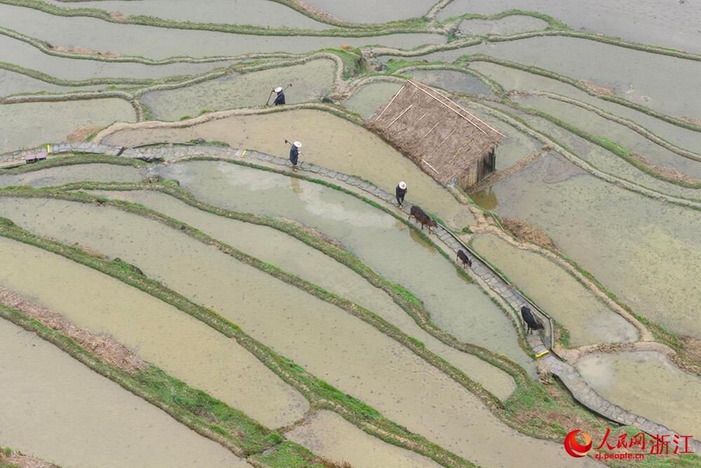 人民日報  People's Daily tweet media