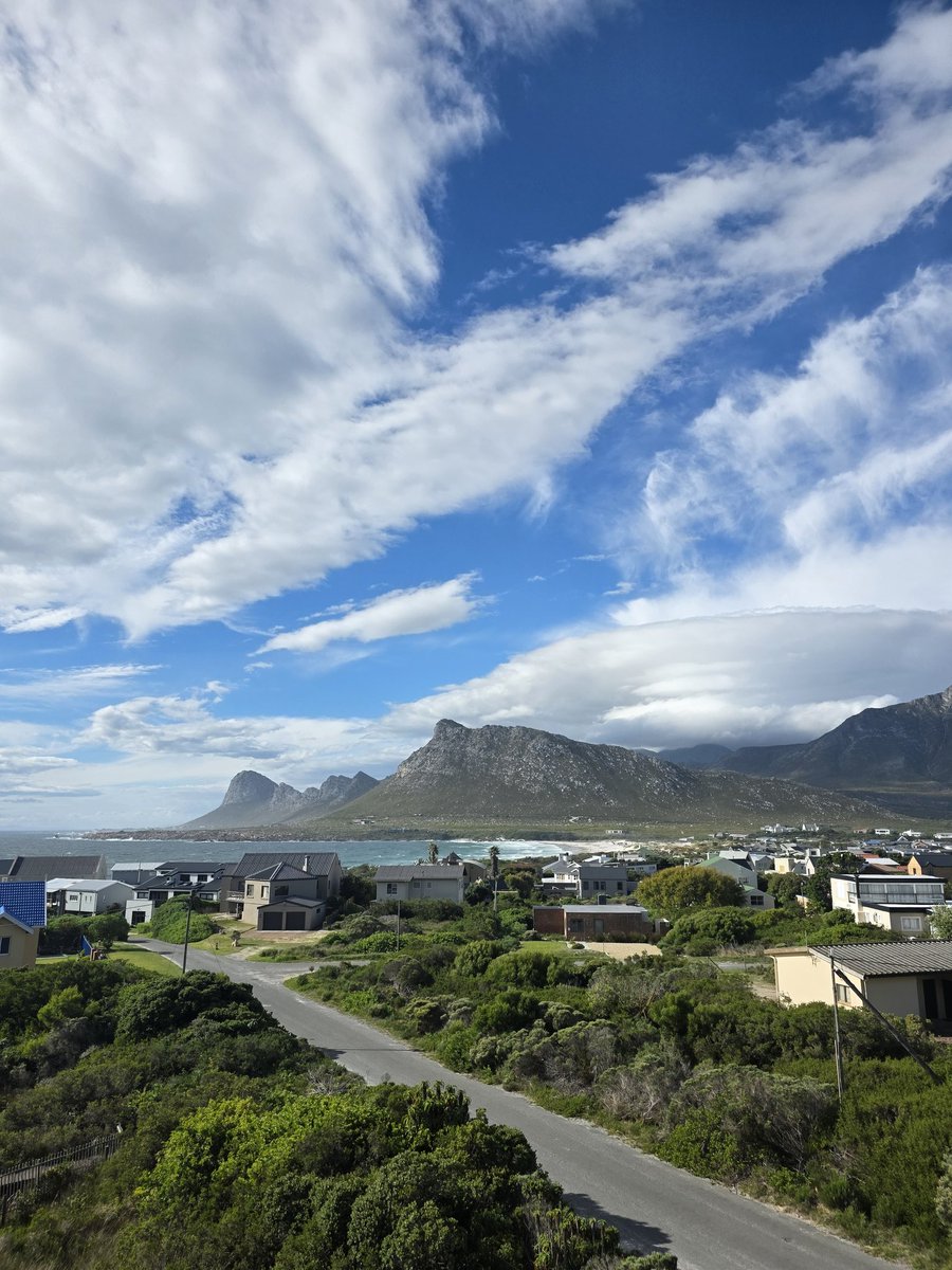 Nadine - Living It Up CT tweet media