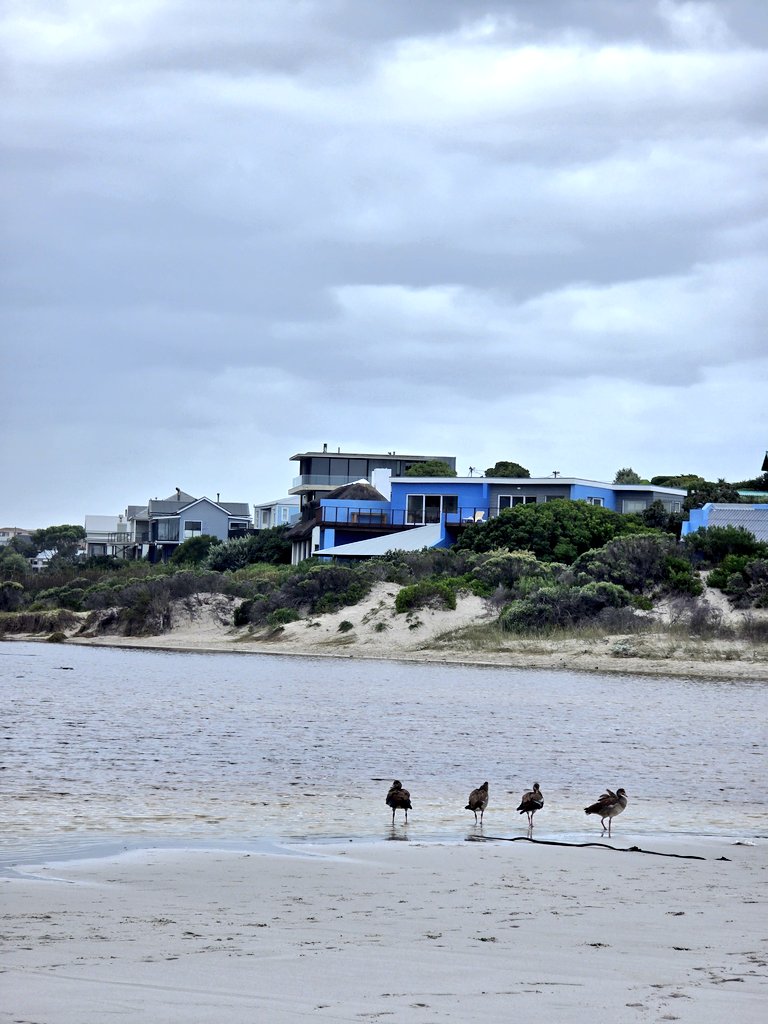 Nadine - Living It Up CT tweet media