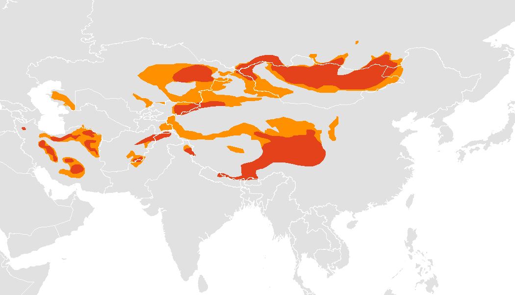NS Stat-Mapper tweet media