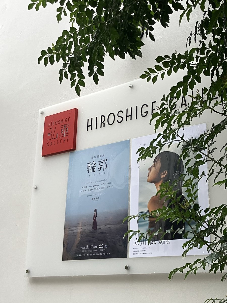 ショウ_Photo tweet media