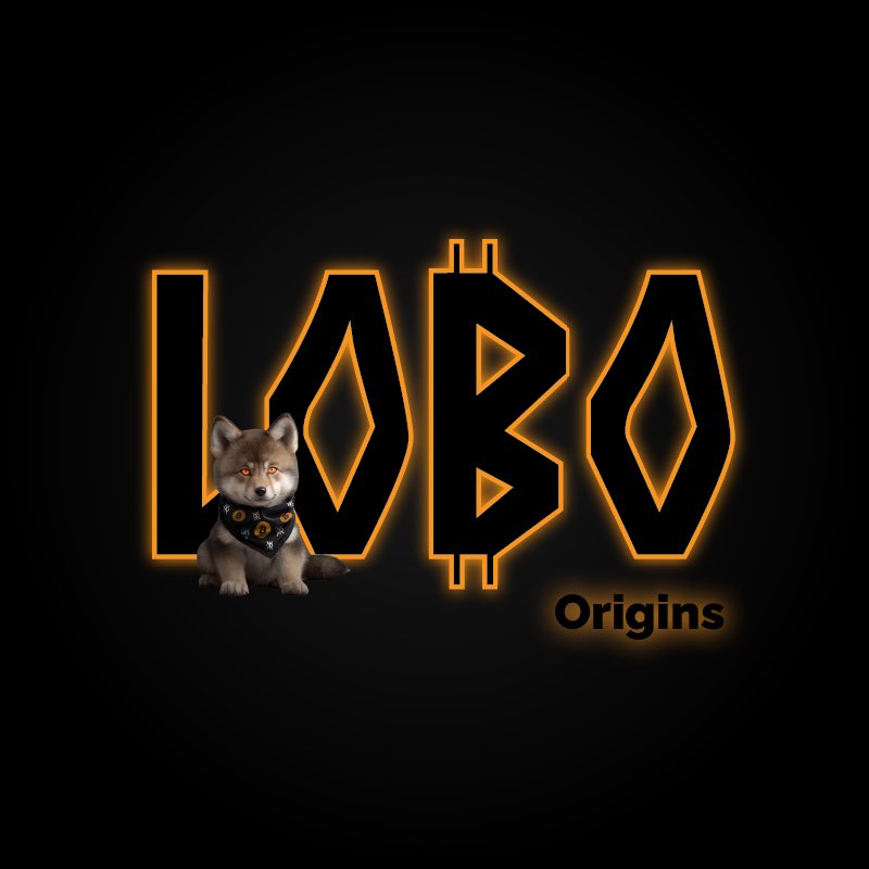 SatsGhost🔸 tweet media