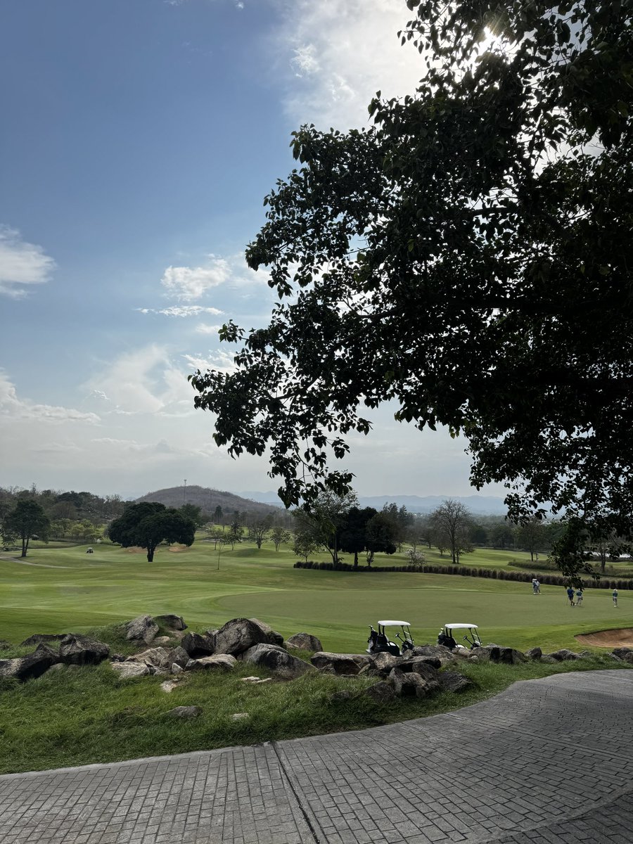 𝟏𝟕𝟕 tweet media