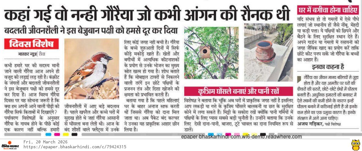 विश्व गौरैया दिवस 

आइए, इन नन्हें परिंदों की रक्षा और उनके आशियाने बचाने का संकल्प लें।  छोटे प्रयास, बड़ा बदलाव - गौरैया लौटेगी, प्रकृति मुस्कुराएगी