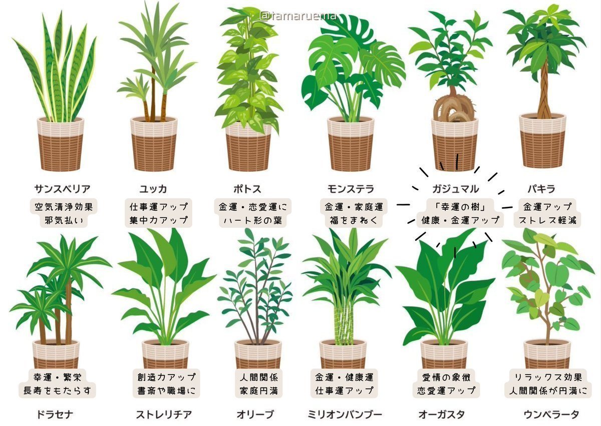 えまたま tweet media