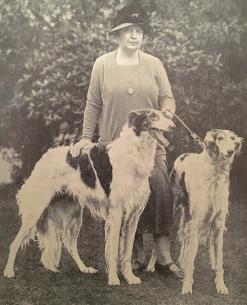 Borzoibot tweet media