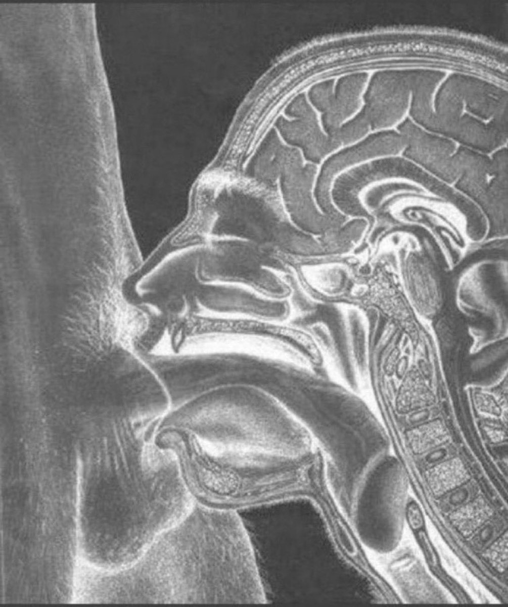 Big Chris tweet media