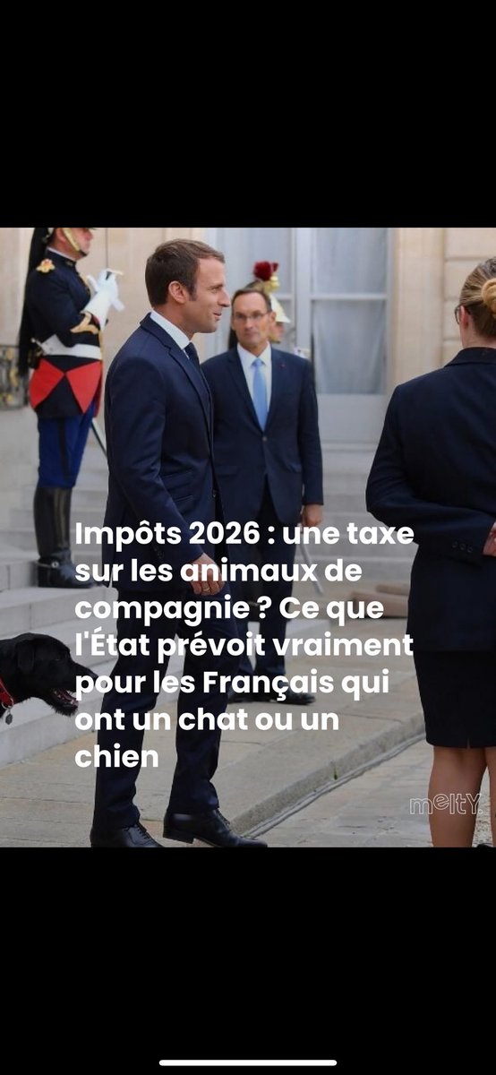 catalpa 🍷🍾🏇🇷🇺🇨🇦🇫🇷 tweet media