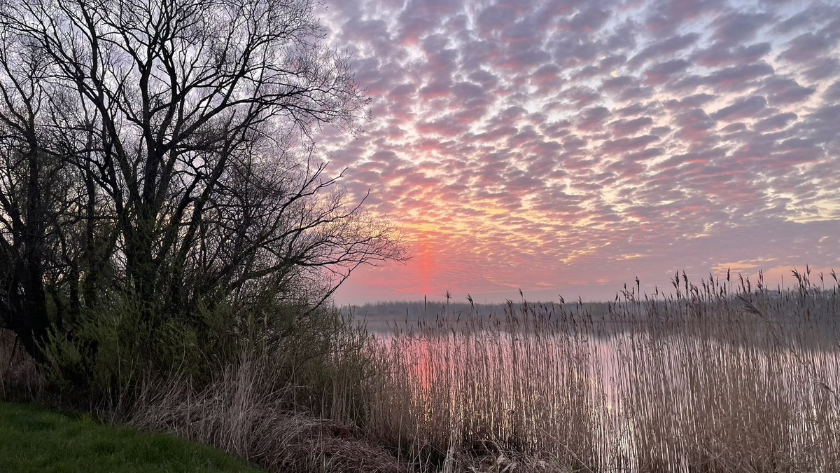 marleenvael's tweet photo. Tielrode 20 maart 6.40 u #vrtweer @BuienradarBE #lichtzuil https://t.co/1MQ3z4yAWo