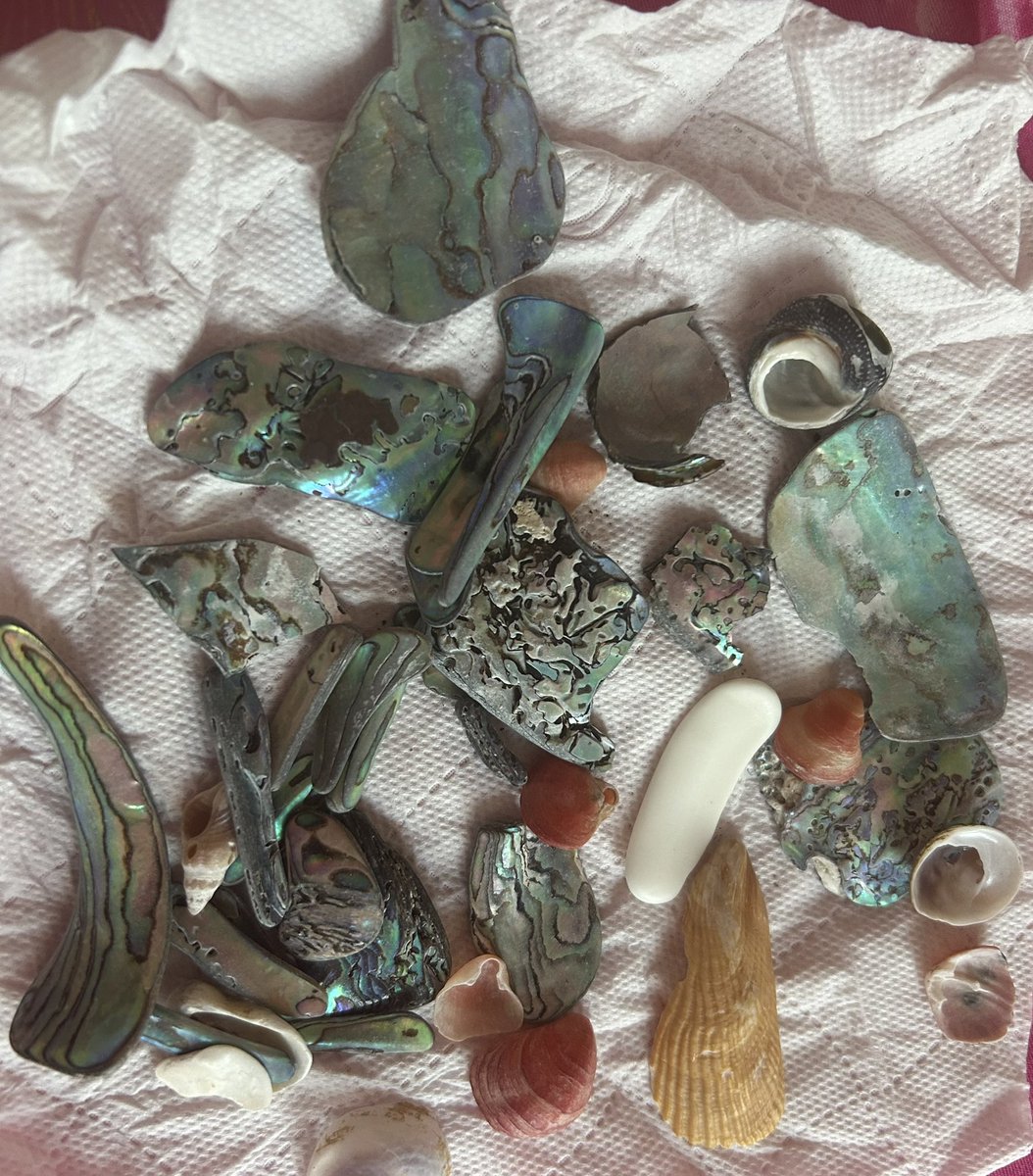 good fortune name tweet media