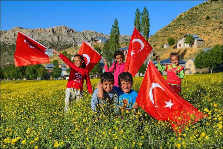 turqoisè tweet media