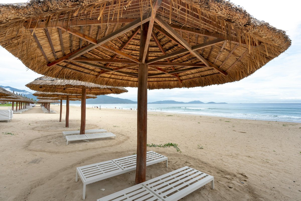 Michel Litout tweet media