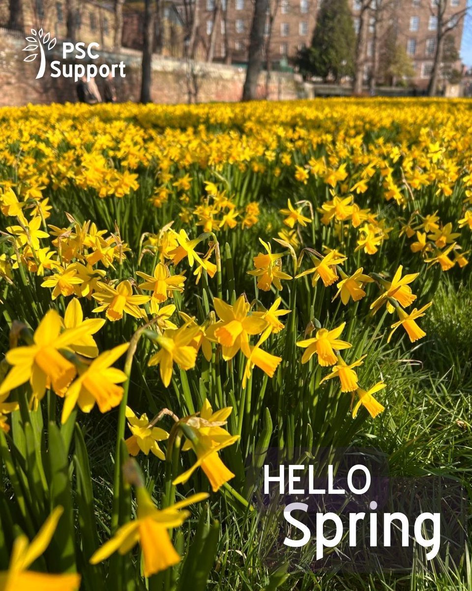 PSC Support tweet media