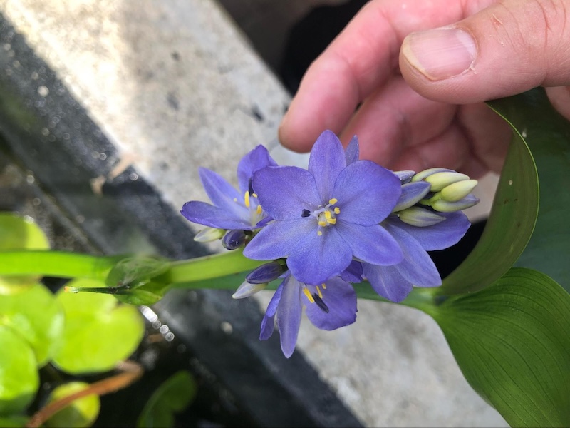 TOHOKU360 tweet media