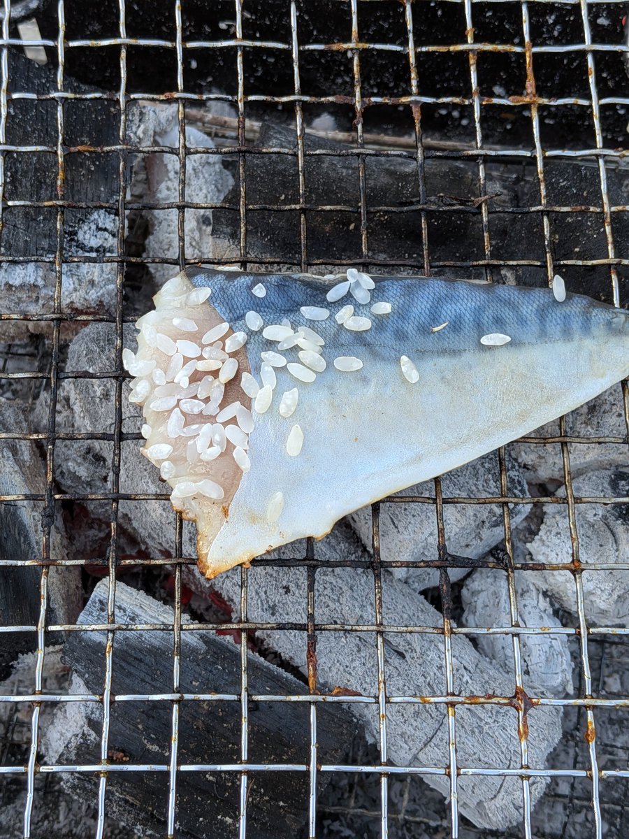 mond  selection tweet media