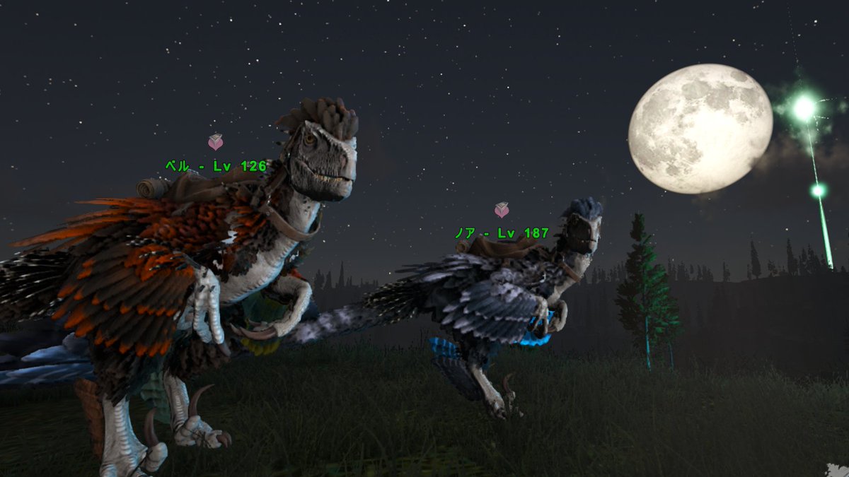 夜笑 くろ⏳🌙天才的な馬鹿 tweet media