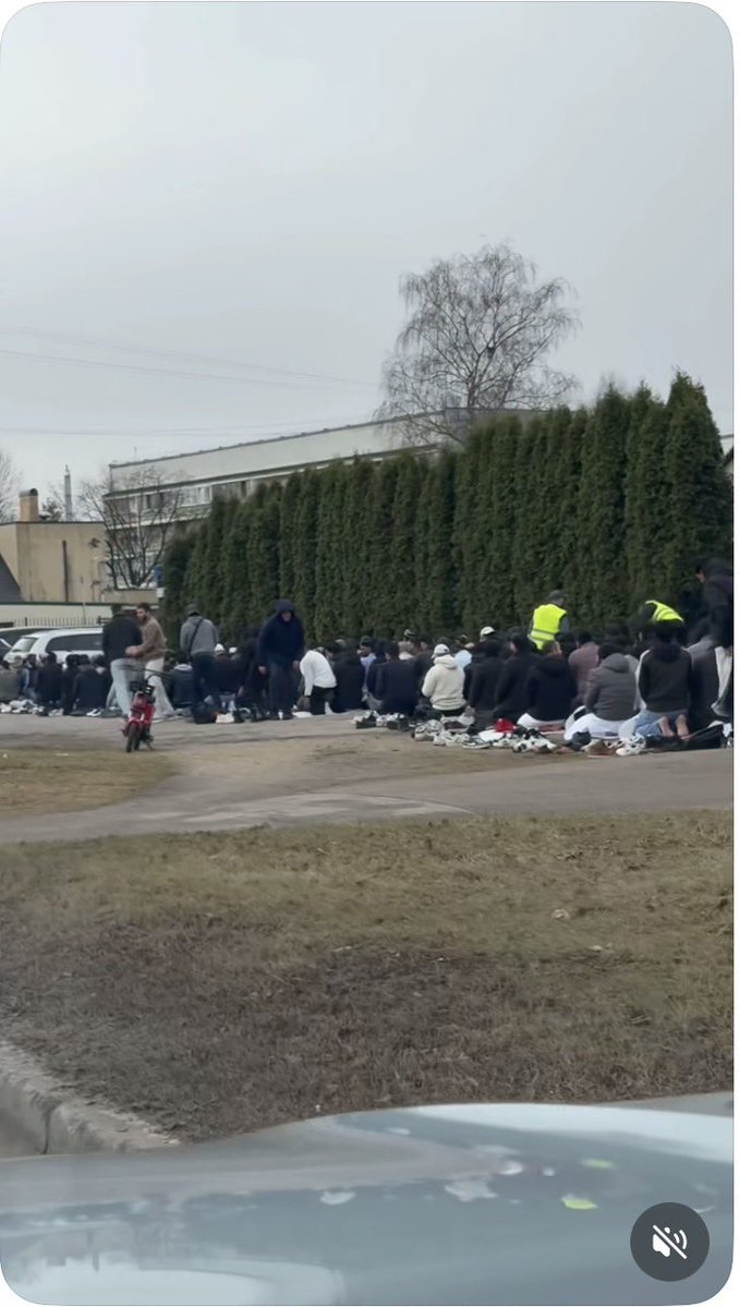 Irēna Saatčiane tweet media