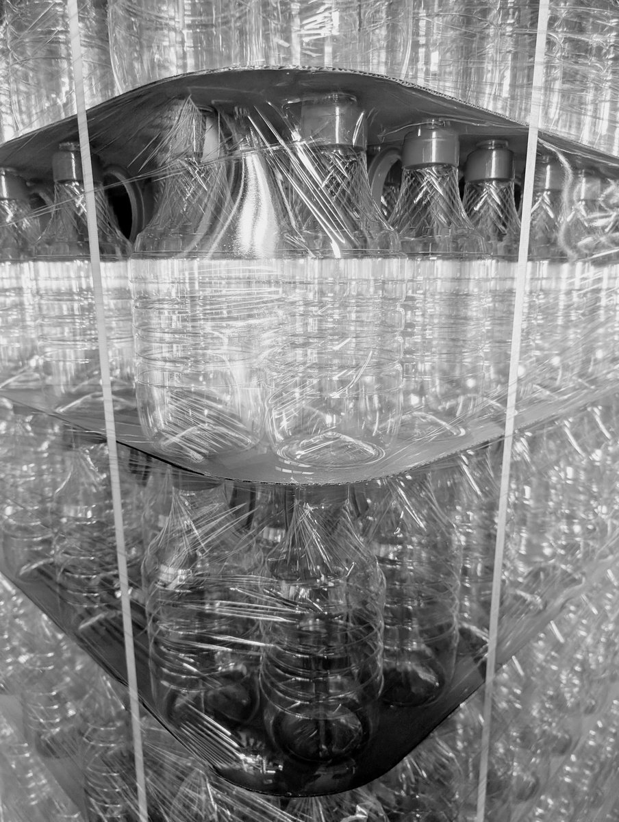  宏大 🐊 tweet media