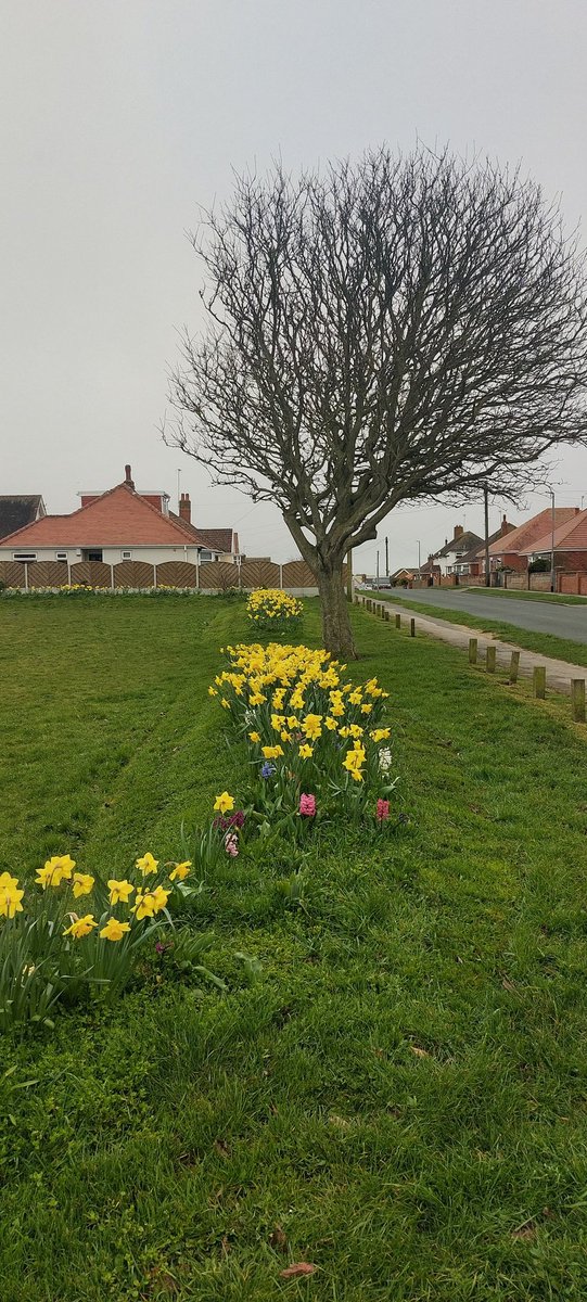 DR SIMON LEE tweet media