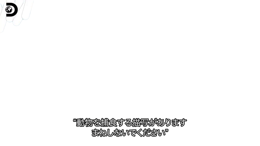 ディスカバリーチャンネル tweet media