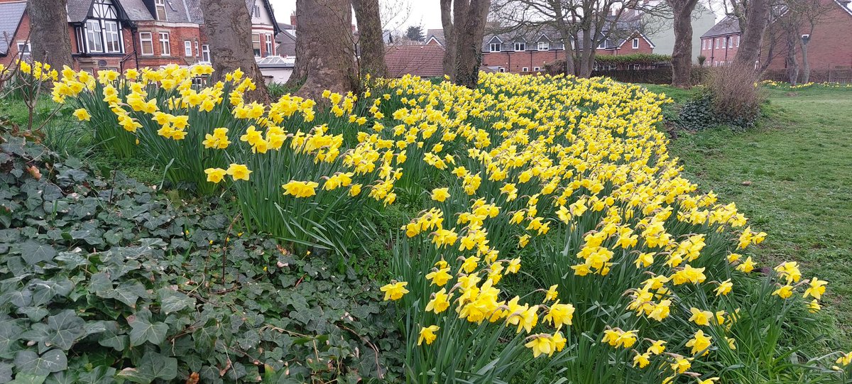 DR SIMON LEE tweet media