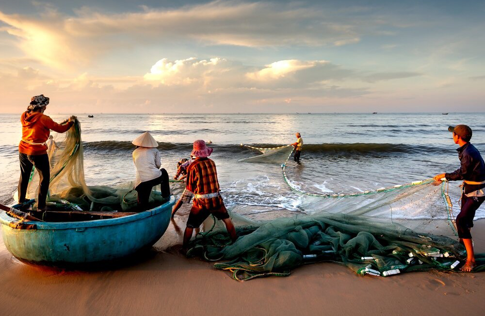 UN Climate Change:Learn tweet media