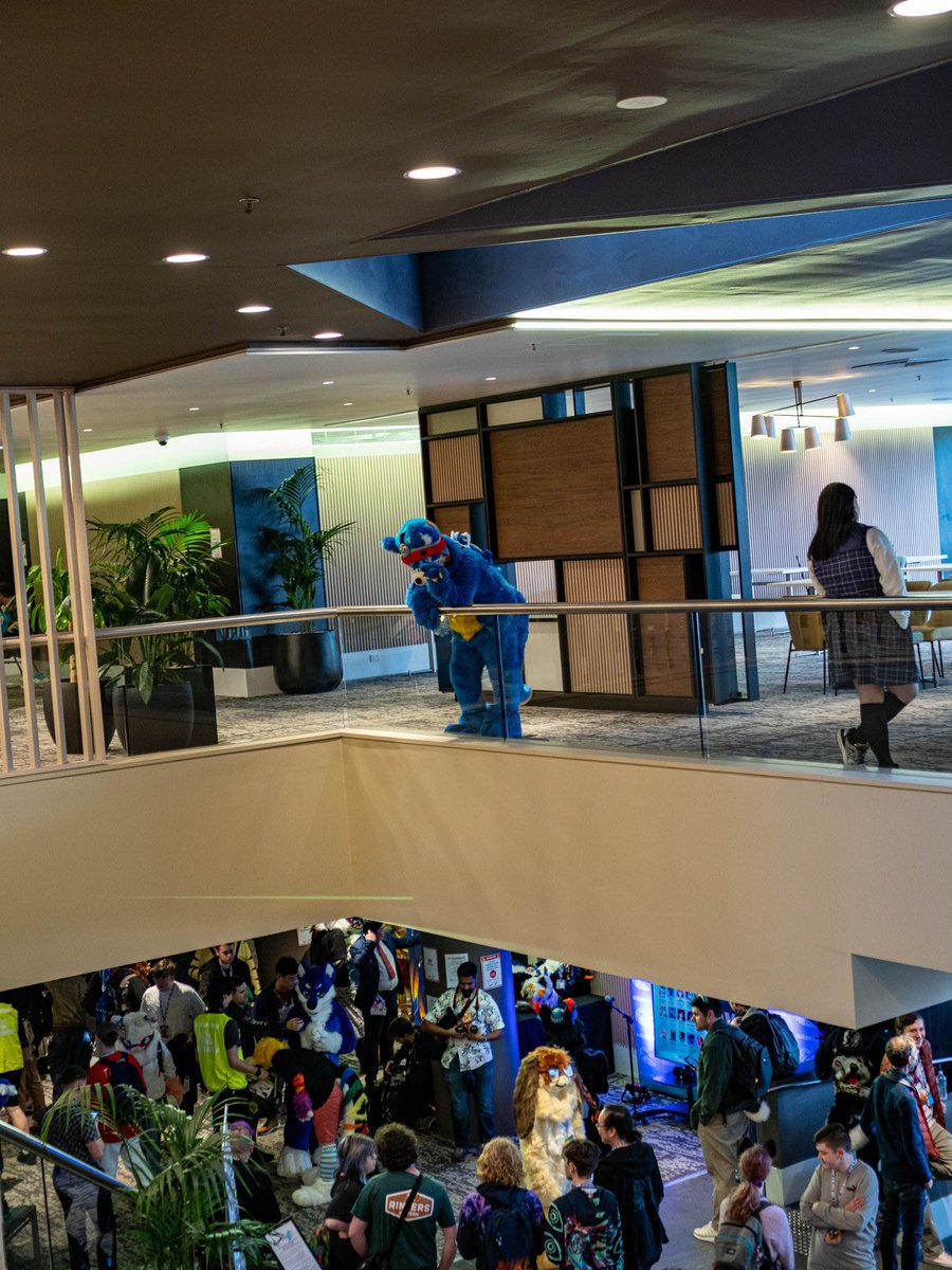 Locomotion The Shy Wolf | 🔜 FurDU 26 tweet media