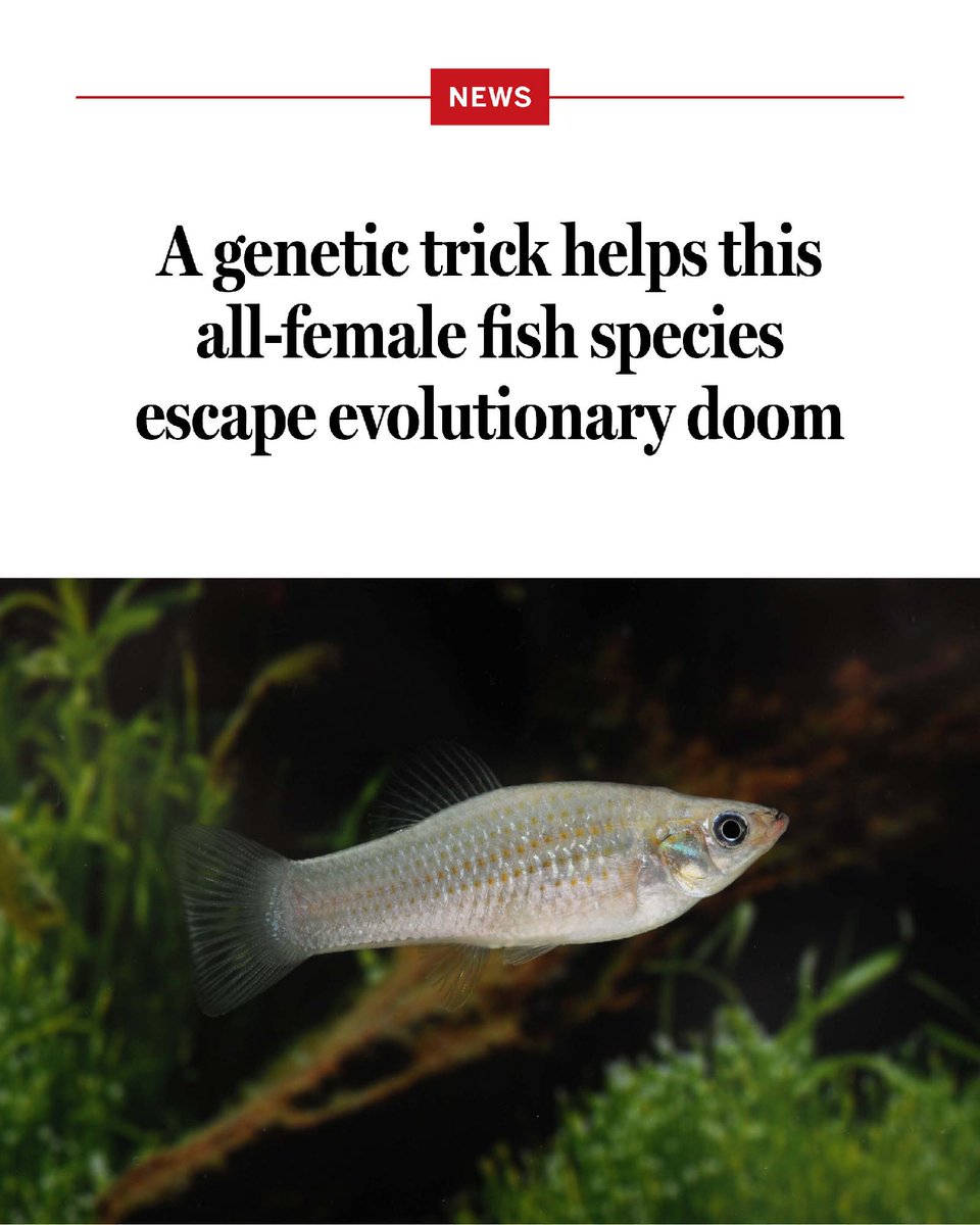 Science Magazine tweet media